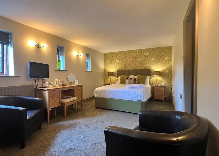 Best Dog Friendly Accommodations in Castleton