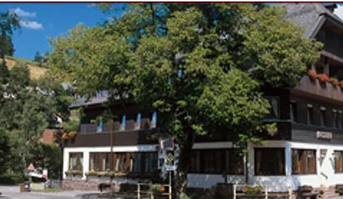 Hotel Grüner Baum Donaueschingen