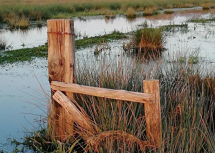 Hotels Vue mer Saint-Malo prestigieux