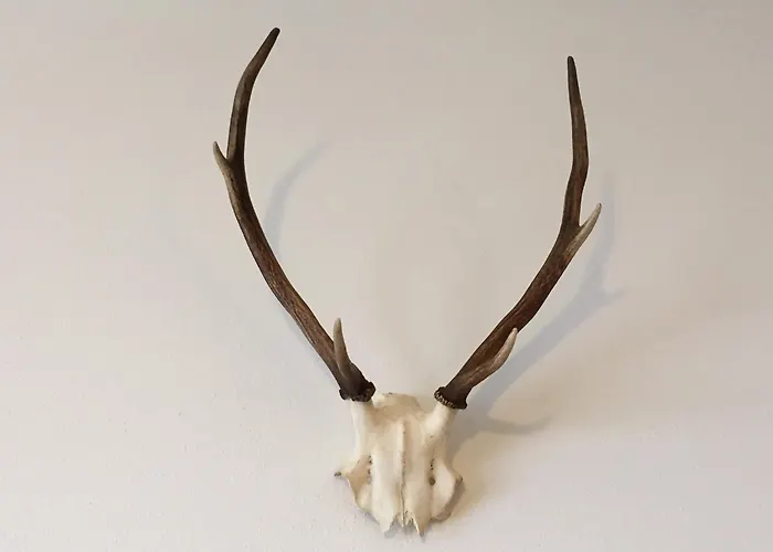 Wellness Hotel Kochel am See