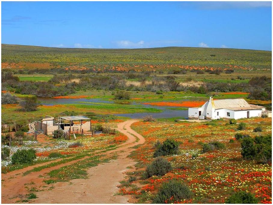 Africa; Top 10 incredible natural wonders!