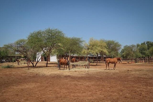 Goosebump moments with the Big 5 in South Africa