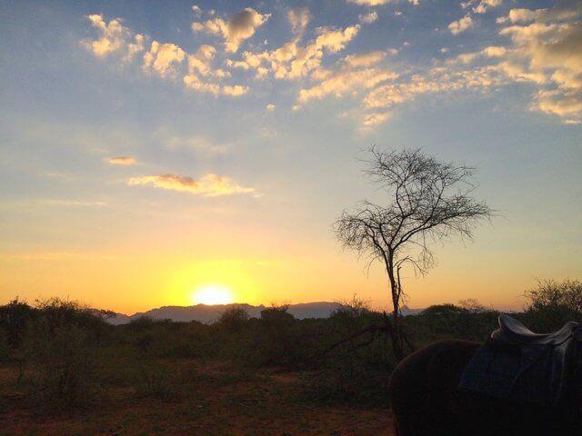 pferdesafari-suedafrika-12