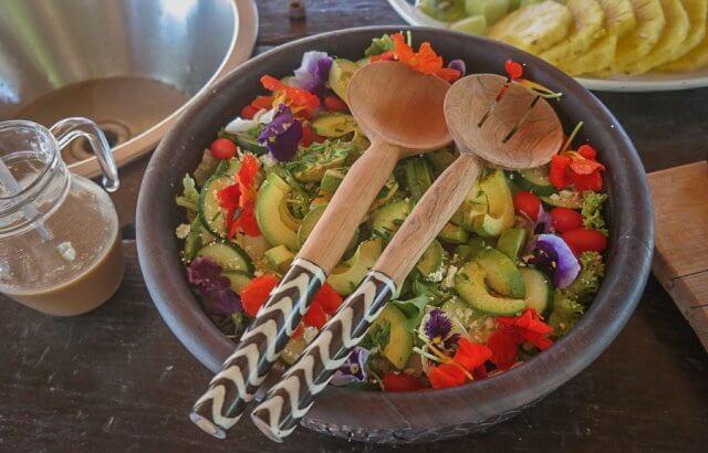 pferdesafari-suedafrika-5