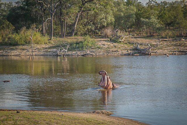 pferdesafari-suedafrika-10